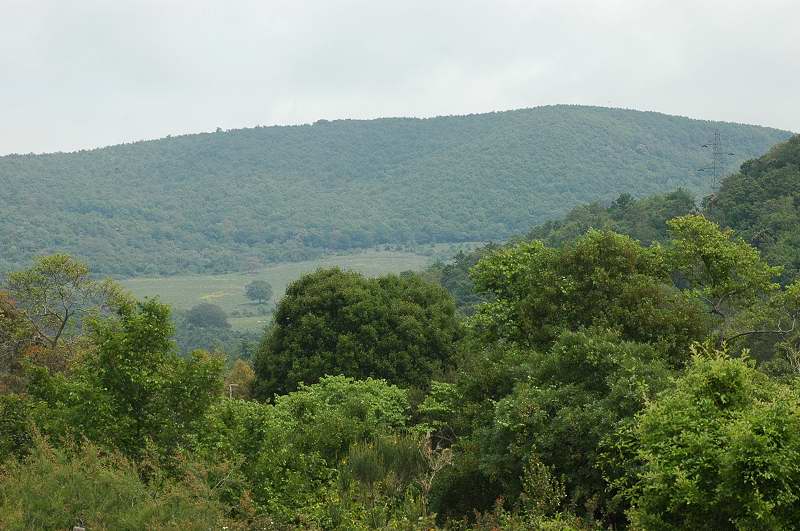Monti della Tolfa: Rio fiume