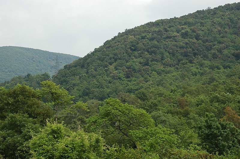 Monti della Tolfa: Rio fiume