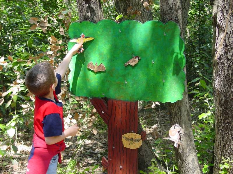 Educazione ambientale: l''uso dei cinque sensi