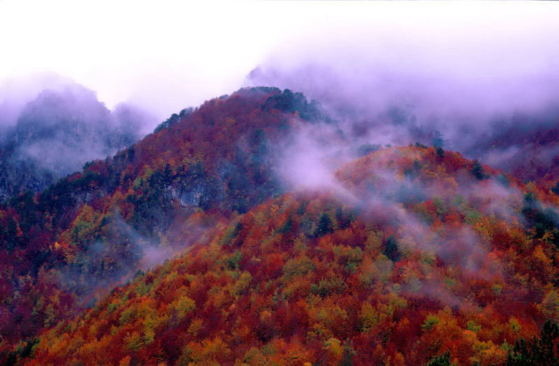 Scorci d''autunno
