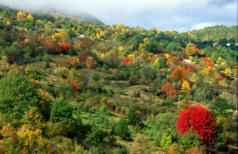 Scorci d''autunno