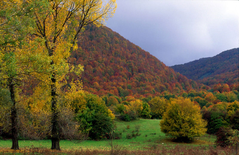 Scorci d''autunno