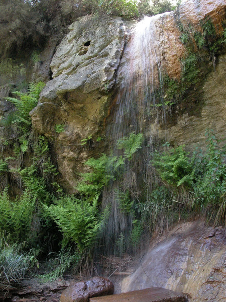 Macromicro e Monterano