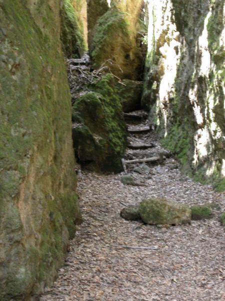 Macromicro e Monterano