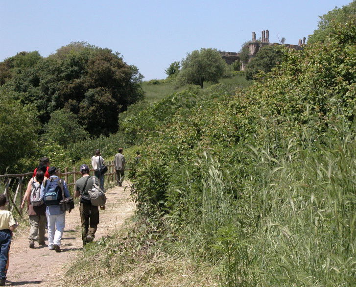 Macromicro e Monterano