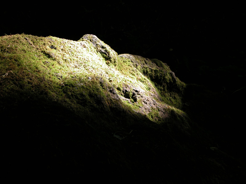 Macromicro e Monterano
