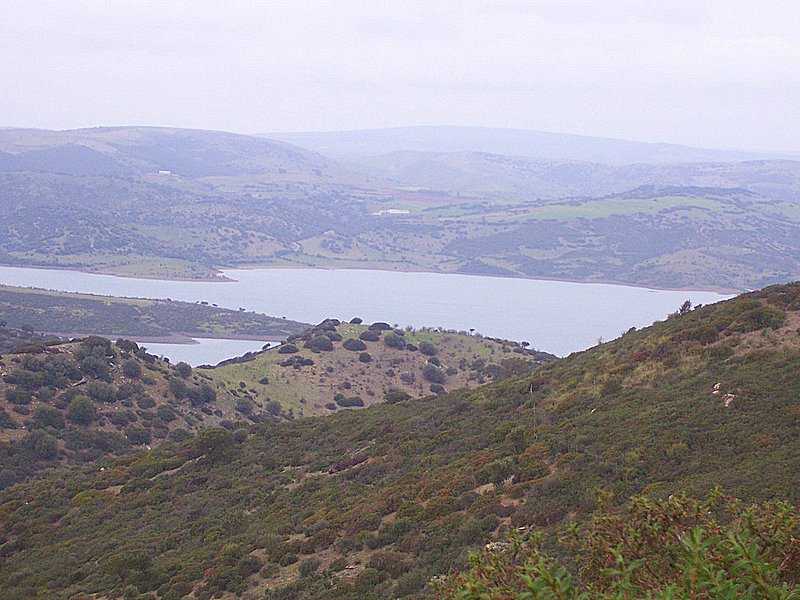 Laghi .....della SARDEGNA