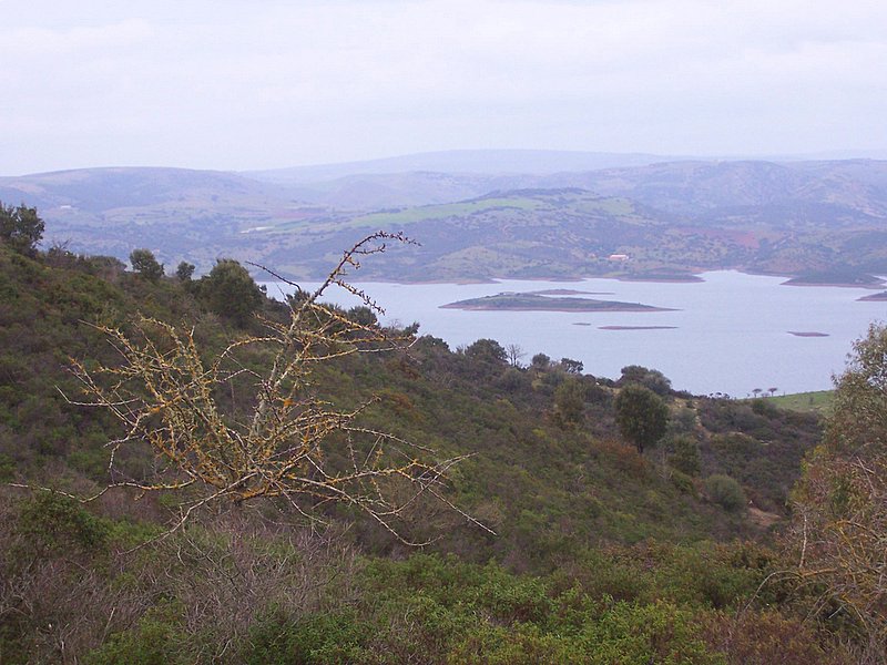 Laghi .....della SARDEGNA