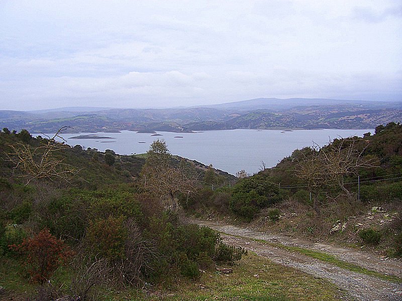 Laghi .....della SARDEGNA