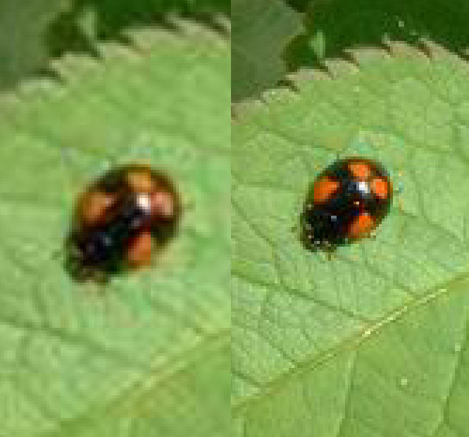 prova  invio immagini