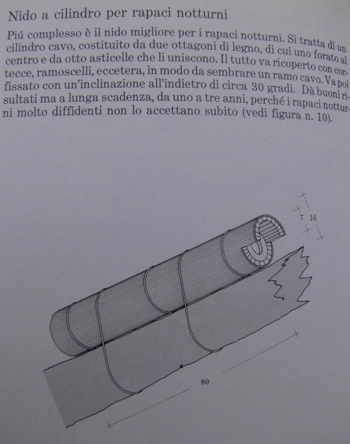 Richiesta informazioni sull'' Allocco