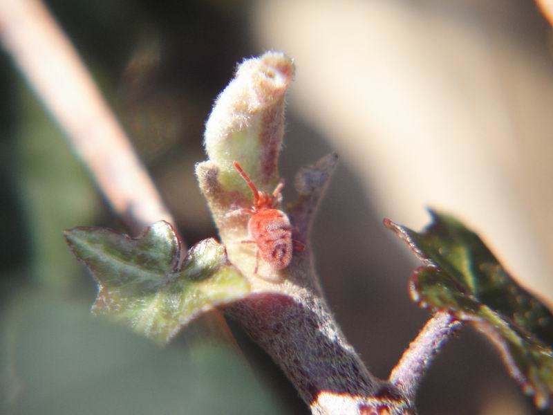 Primi scatti di primavera