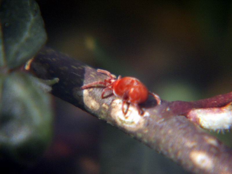 Primi scatti di primavera