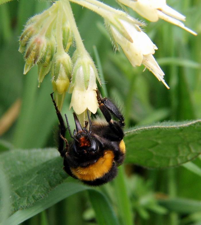 Primi scatti di primavera