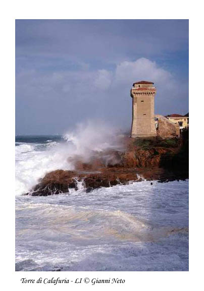 CODICE ARMONICO
