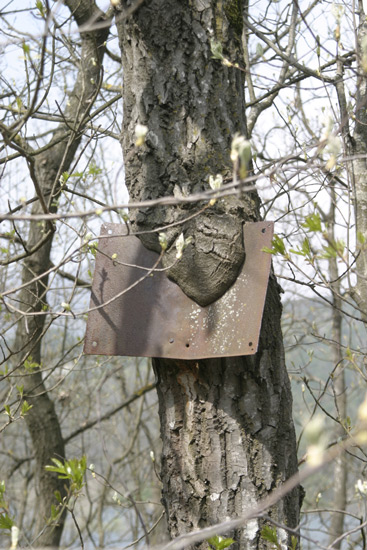 TOPONOMASTICA e CARTELLONISTICA