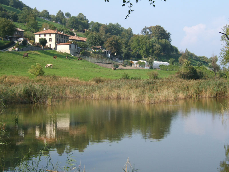 Laghi....della LOMBARDIA