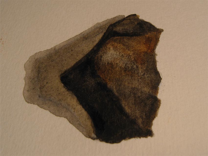 Disegno naturalistico 2Lezione