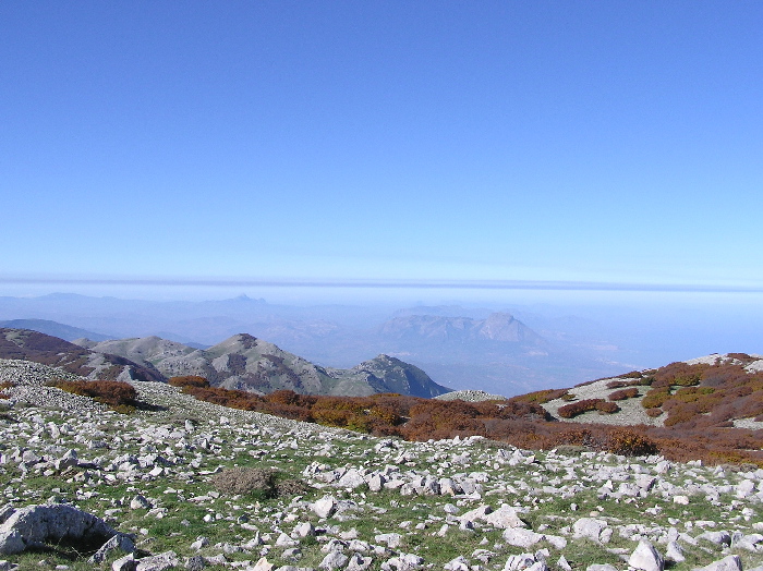 Frammenti dalle Madonie (Pa)