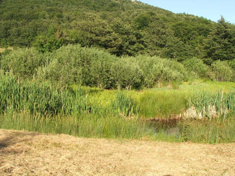 Laghi.....dell'' UMBRIA