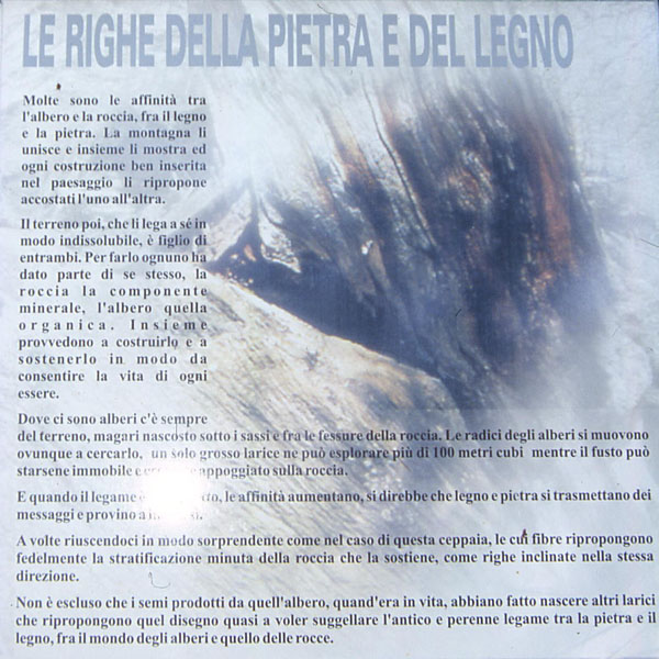 Val di Rabbi........i larici monumentali...seconda parte