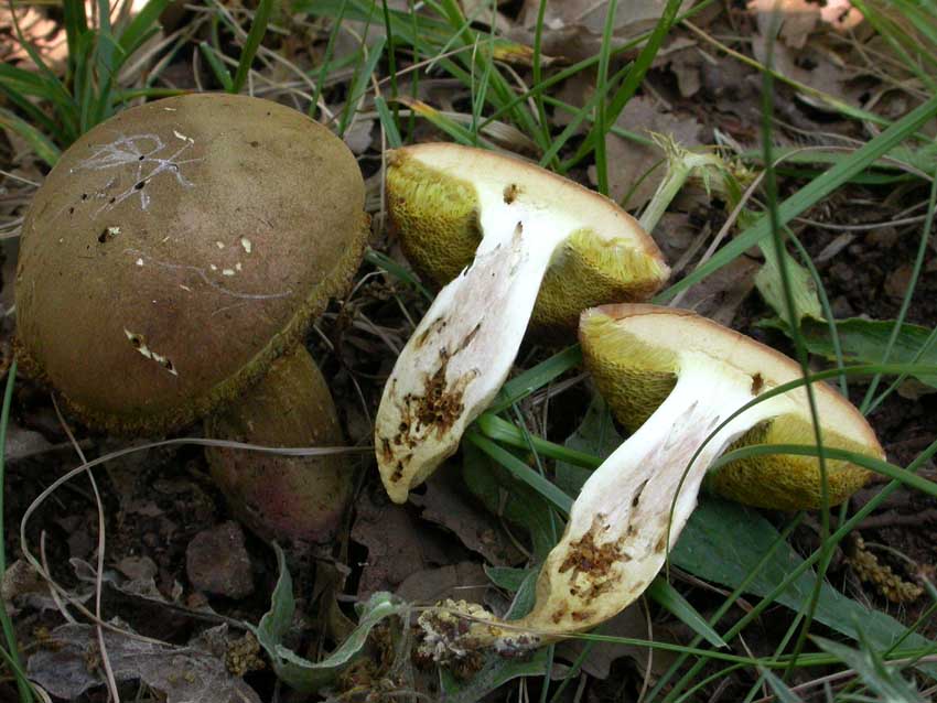 Escursione a Collepardo (FR) - Selva d''Ecio