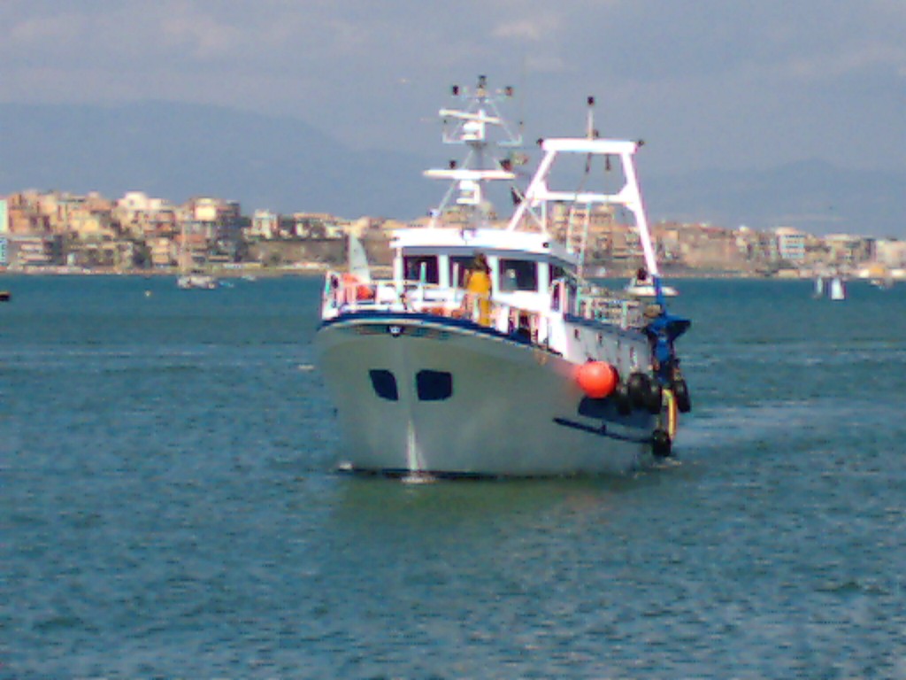 Un conchigliaro ad Anzio
