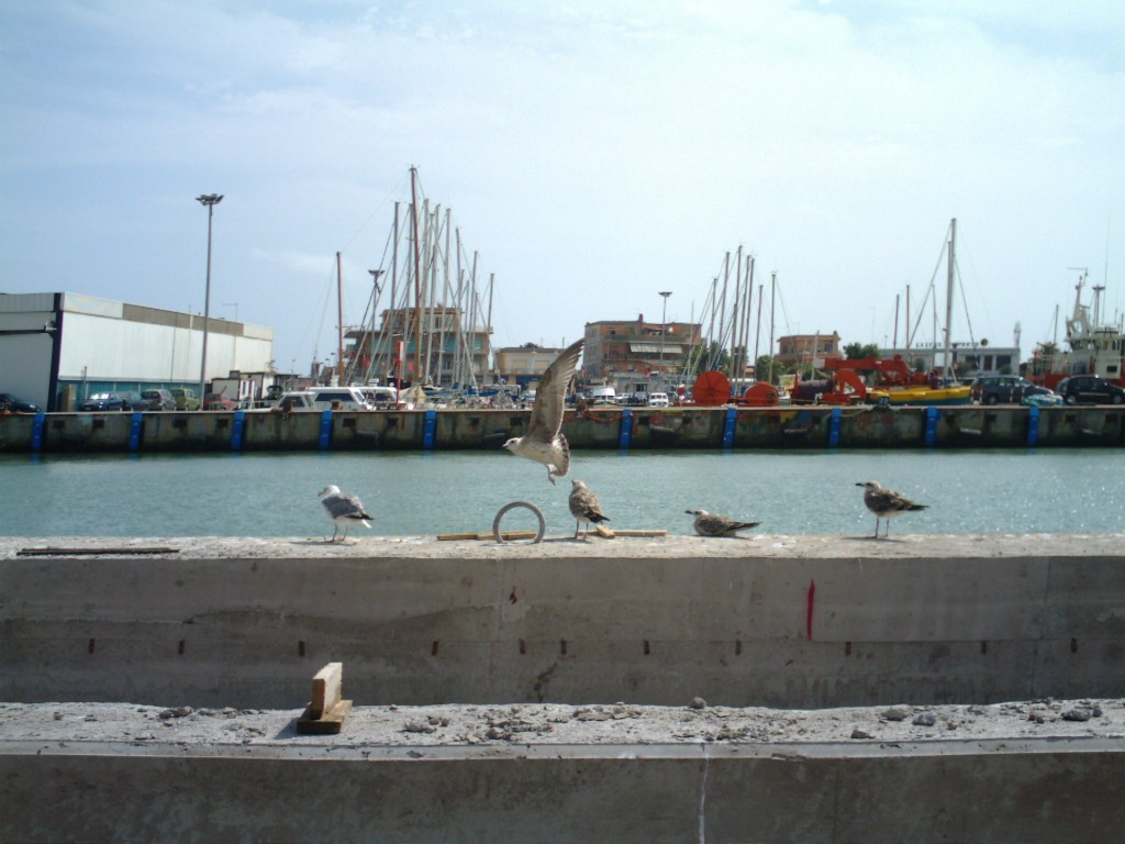 Fiumicino