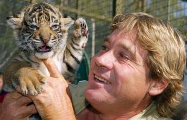 Notizia -  morto Steve Irwin