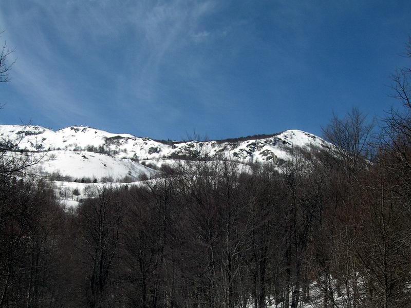 regioni italiane....quiz-ricerca