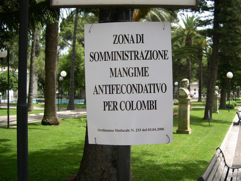 TOPONOMASTICA e CARTELLONISTICA