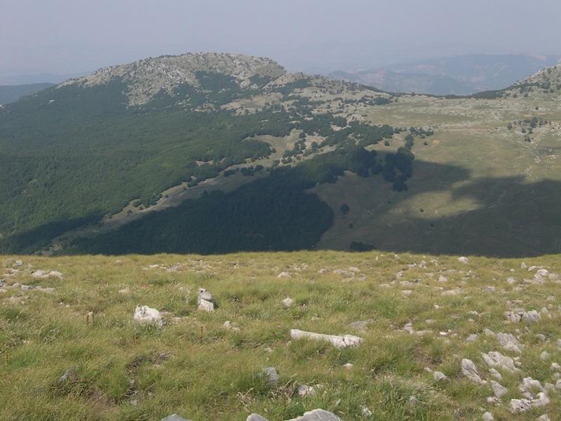 regioni italiane....quiz-ricerca