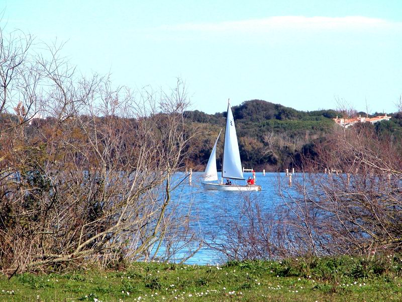 Laghi....del LAZIO