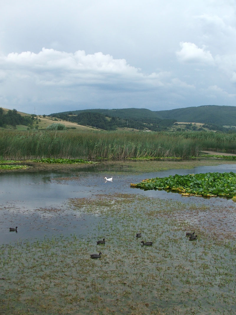 Laghi.....dell'' UMBRIA