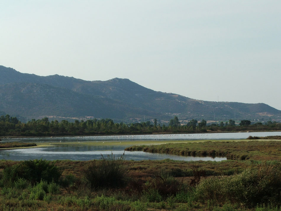 Laghi .....della SARDEGNA