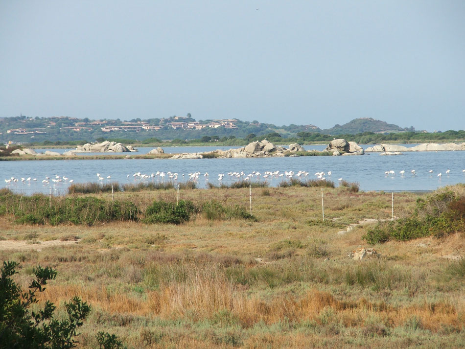 Laghi .....della SARDEGNA