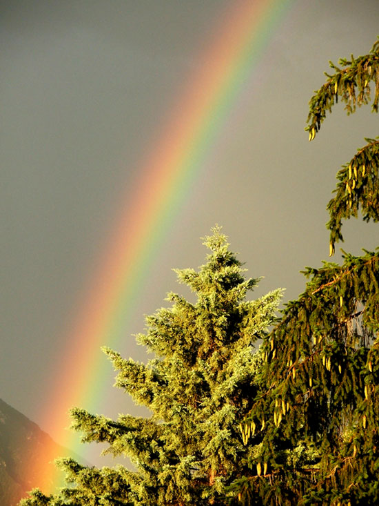 Arcobaleno