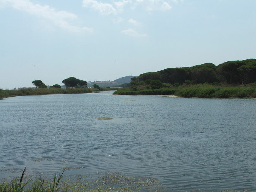 Laghi .....della SARDEGNA