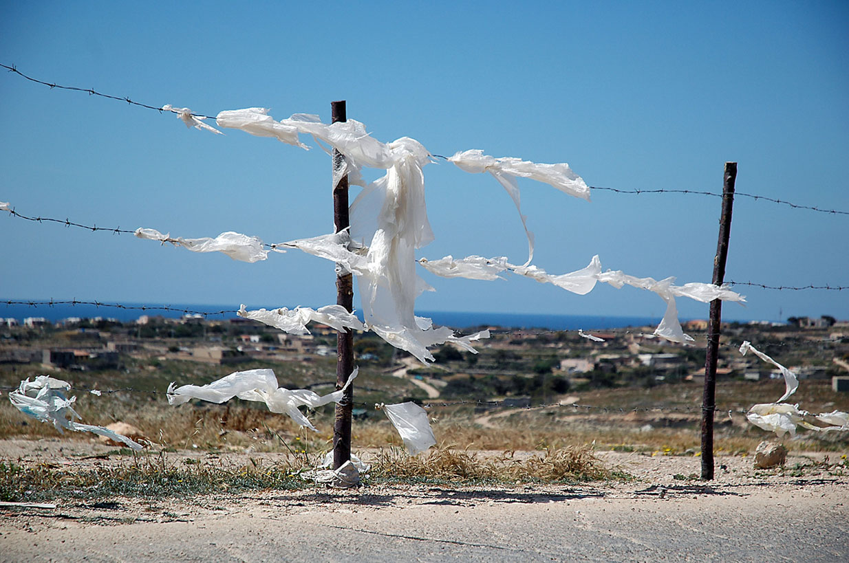 Plastica nel Tevere.