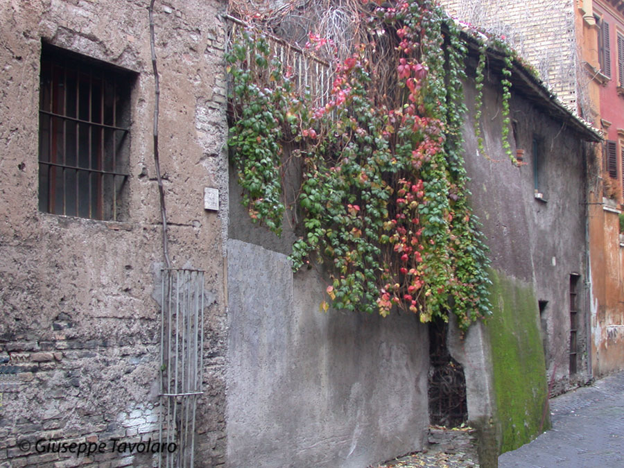 Roma nascosta.