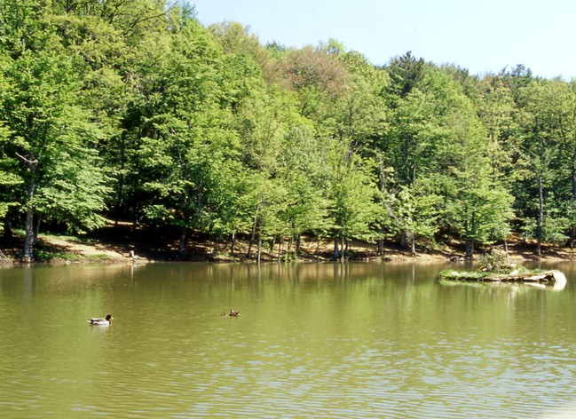 Laghi.......della PUGLIA