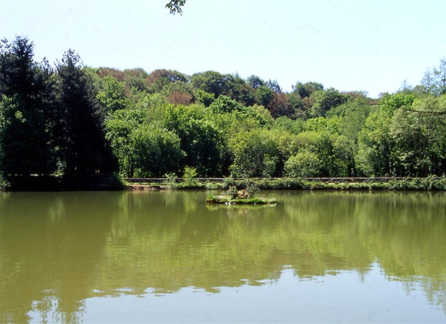 Laghi.......della PUGLIA