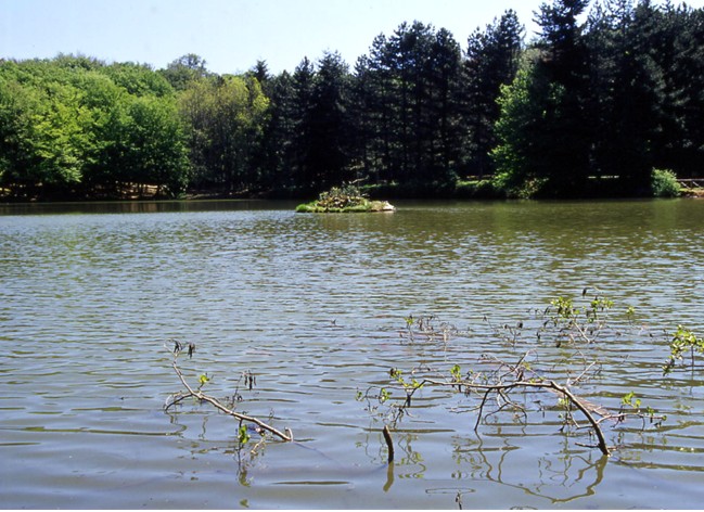 Laghi.......della PUGLIA