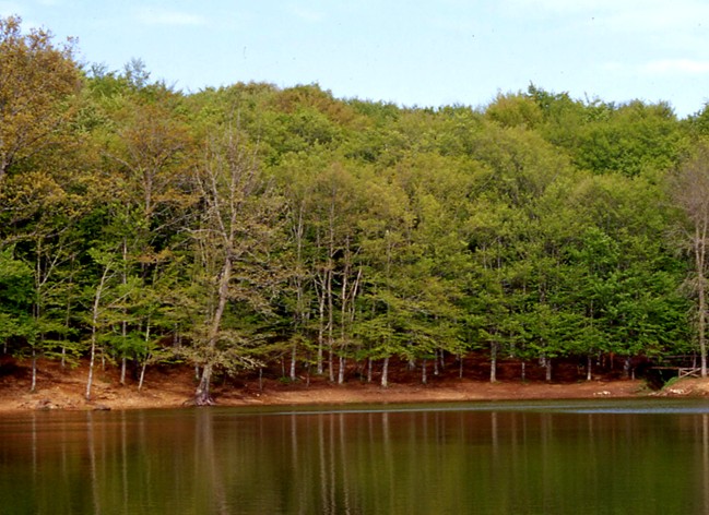 Laghi.......della PUGLIA