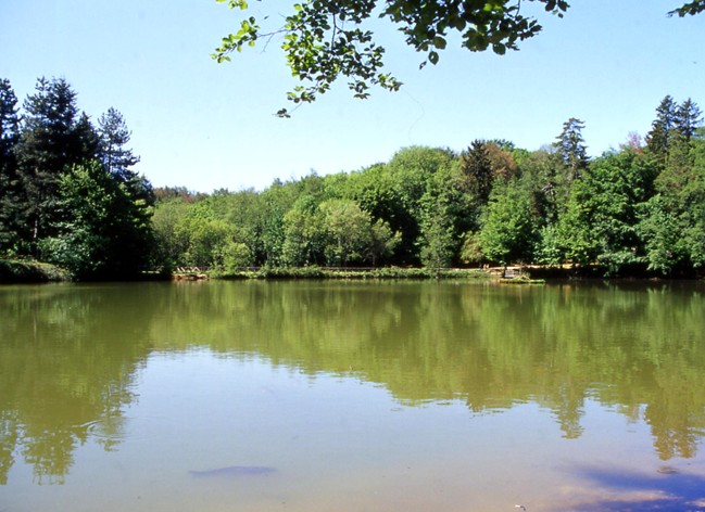 Laghi.......della PUGLIA