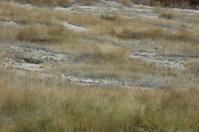 La Caldara di Manziana