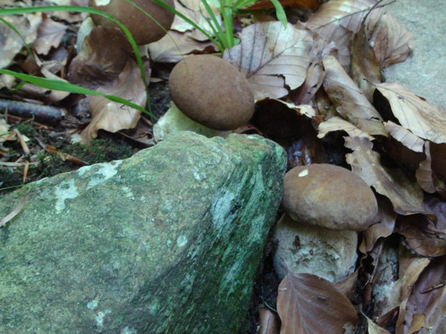 un sabato italiano!!