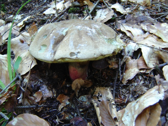 un sabato italiano!!