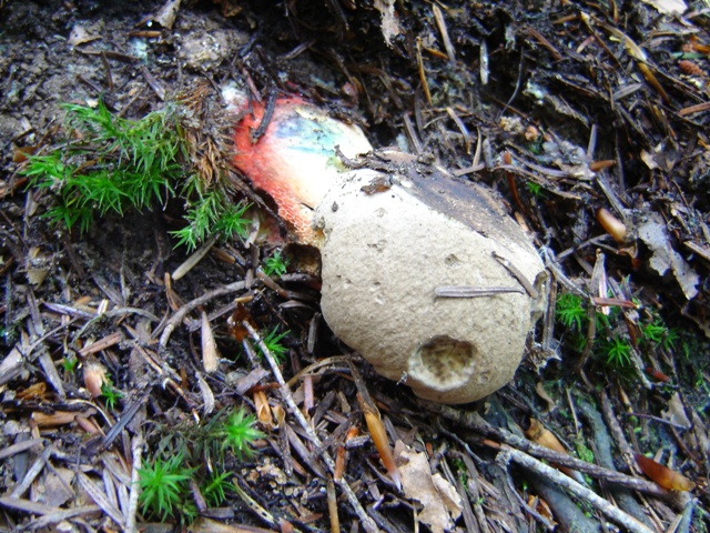 un sabato italiano!!