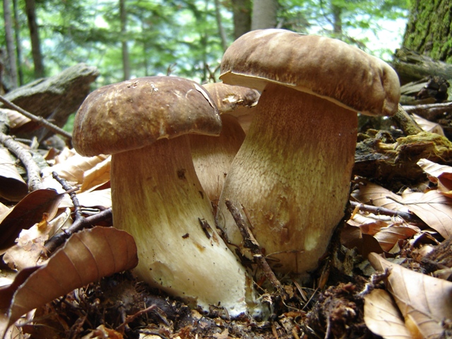 un sabato italiano!!